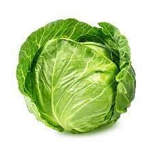 Cabbage