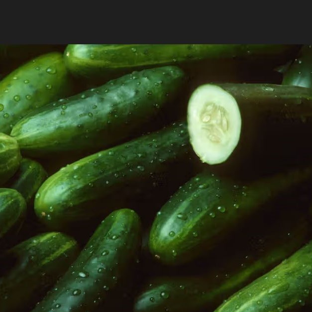 Cucumber